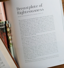 Load image into Gallery viewer, Stand Firm Devotional