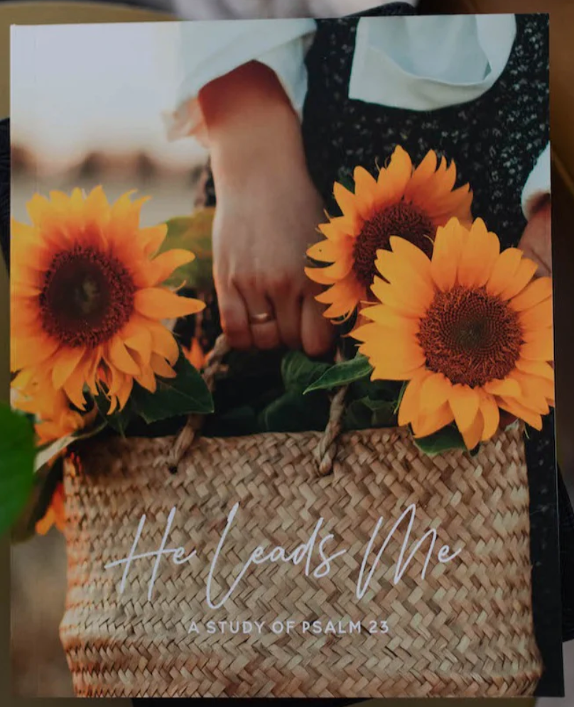 He Leads Me Bible Study