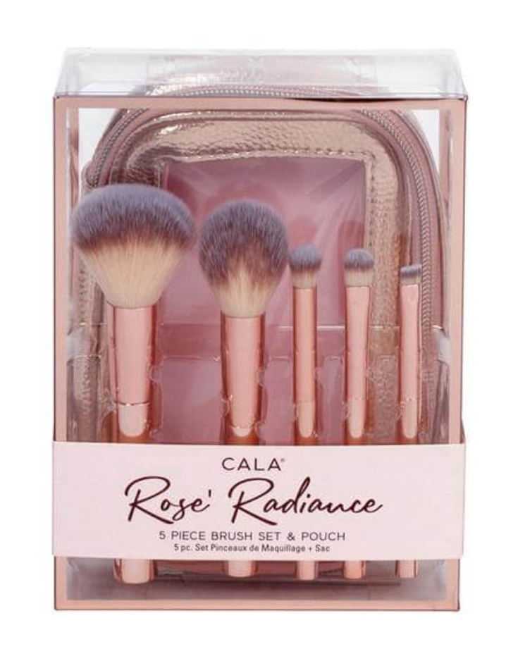 5 Piece Brush set with pouch